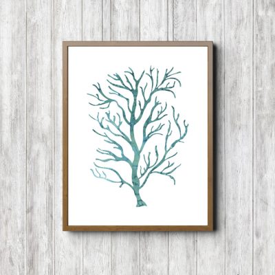 Watercolor Sea Coral - Teal