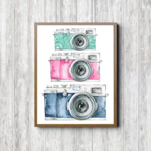 Green, Pink & Blue Cameras