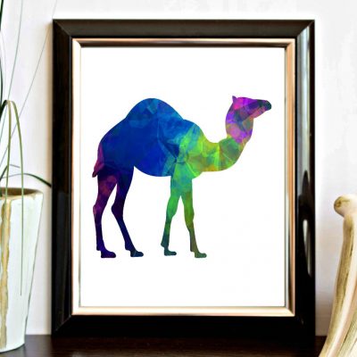 Multi Color Camel Silhouette