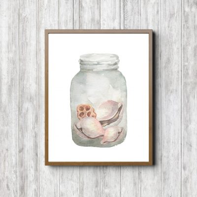 Shells In A Bottle