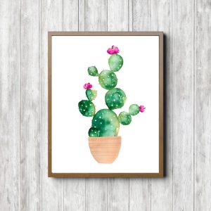Cactus In a Pot