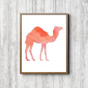Coral Watercolor Desert Camel