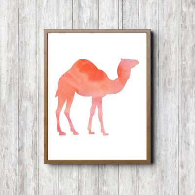 Coral Watercolor Desert Camel