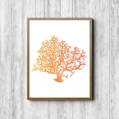 Orange Watercolor Sea Coral