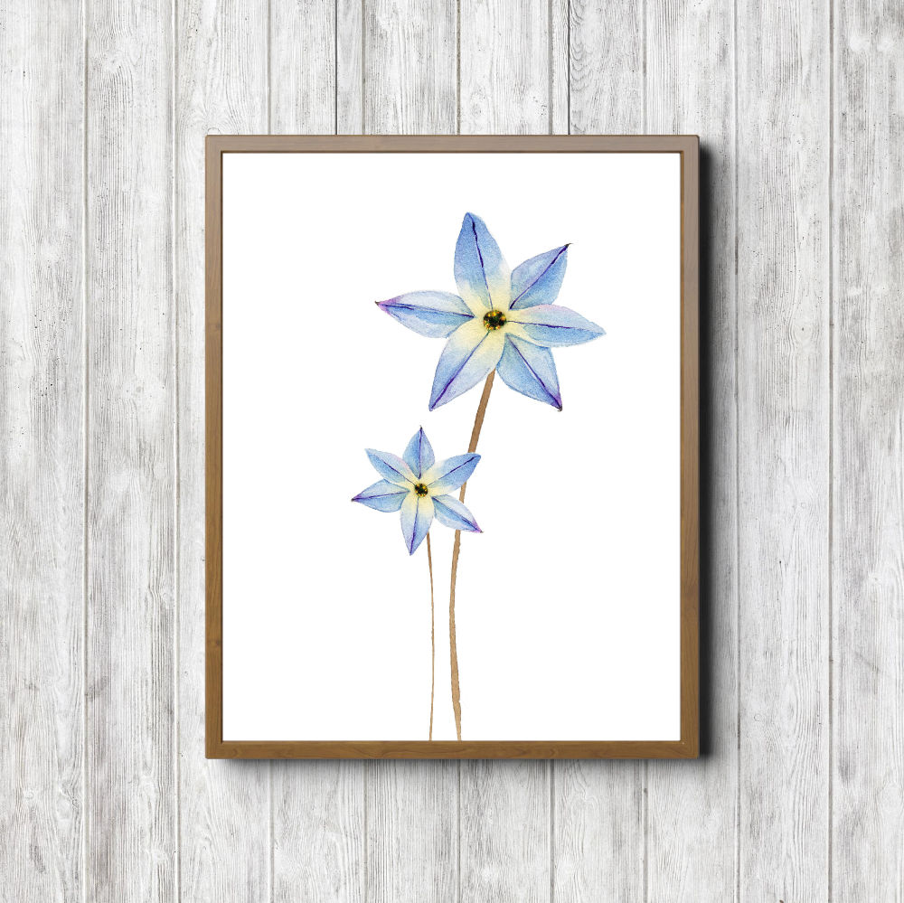 Blue Star Flower Decor Printable