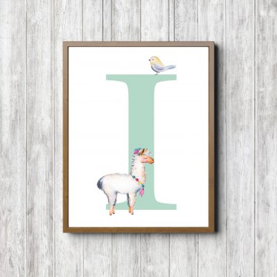 Letter I - Llama & Bird