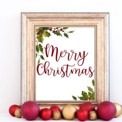 Merry Christmas Mistletoe Decor