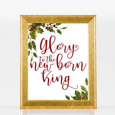 Newborn King Mistletoe Decor