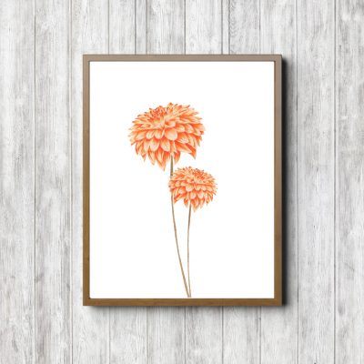 Orange Watercolor Dahlia Flowers