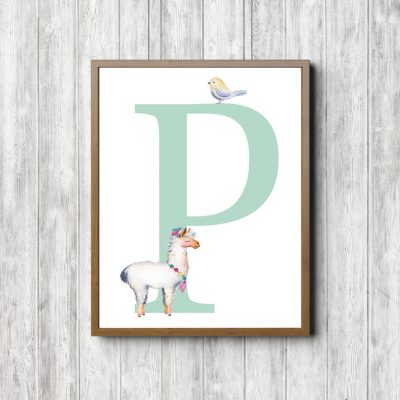 Letter P - Llama & Bird