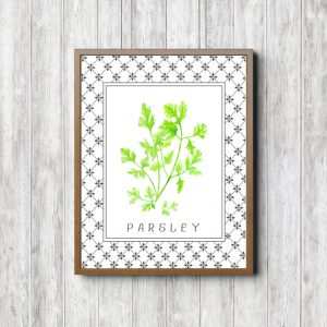 Parsley Watercolor Herbs Art