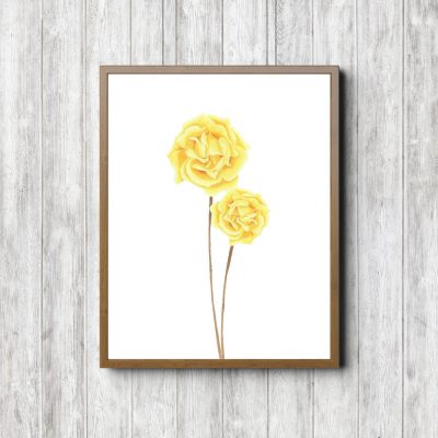 Yellow Roses Botanical Art