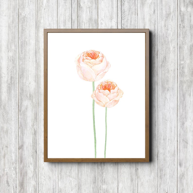 Peach Pink Roses Poster Printable