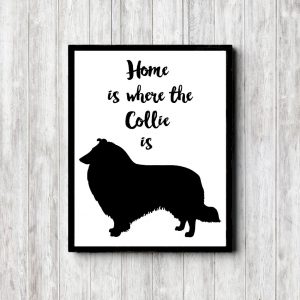Collie Home Printable Poster