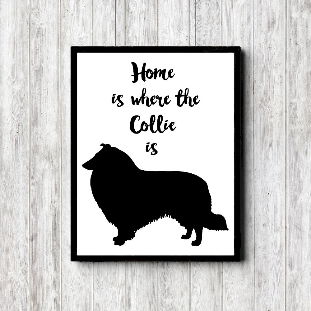 Collie Home Printable Poster