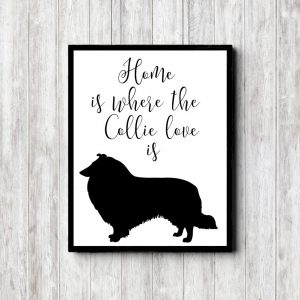Collie Love Printable Poster