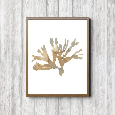 Beige Seaweed Watercolor Printable