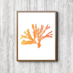 Orange Watercolor Seaweed Printable