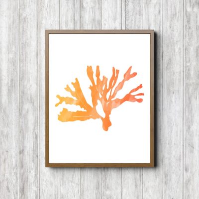 Orange Watercolor Seaweed Printable