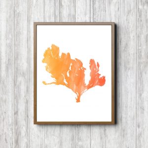 Orange Watercolor Sea Weed Printable