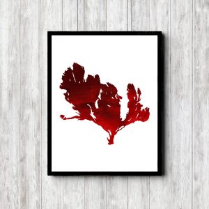 Seaweed Red Watercolor Printable
