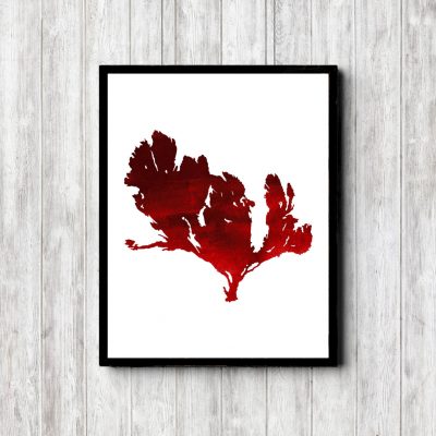 Seaweed Red Watercolor Printable