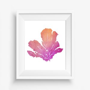 Pink & Orange Sea Coral Printable