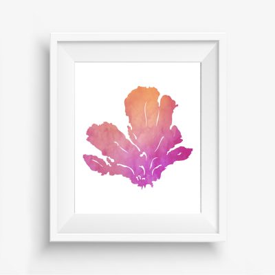Pink & Orange Sea Coral Printable
