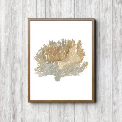 Beige Marine Coral Watercolor Printable