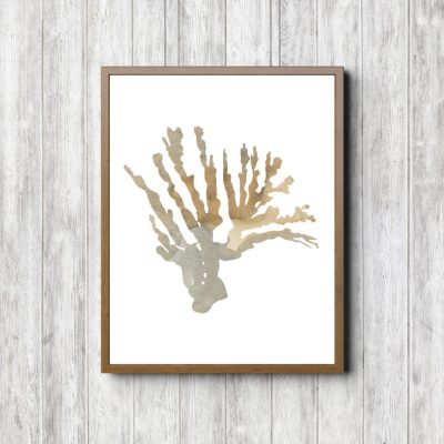 Beige Marine Plant Watercolor Printable