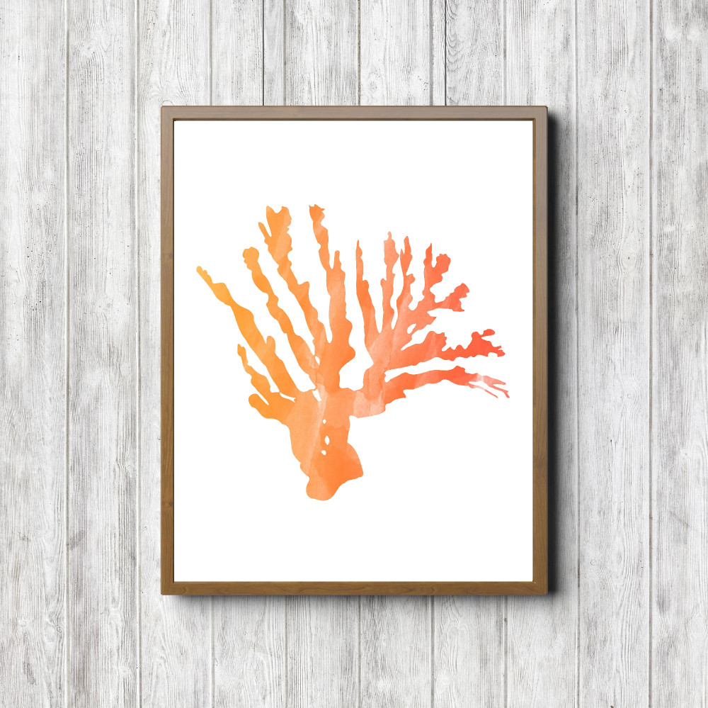 Coral4Orange jpg