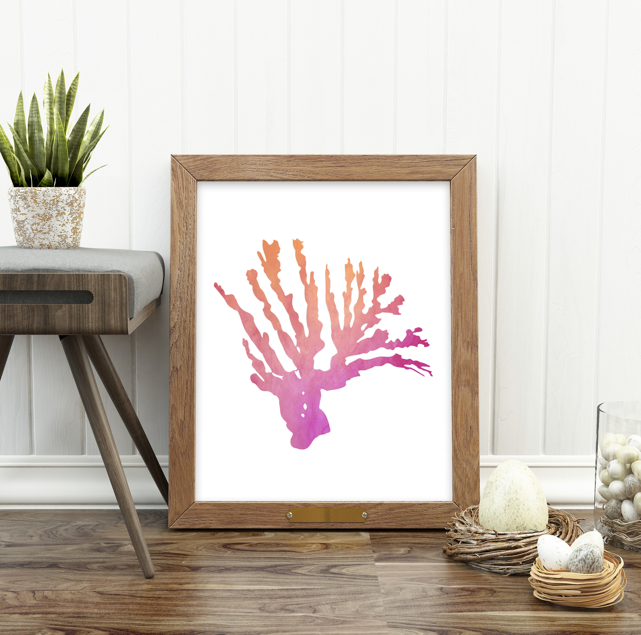 Coral4PinkOr