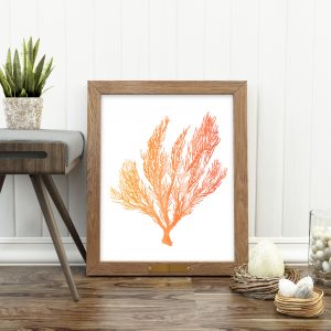 Orange Watercolor Marine Plant Printable