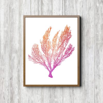 Pink & Orange Ocean Coral Printable