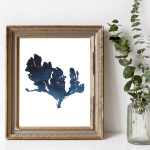 Dark Blue Sea Weed Printable