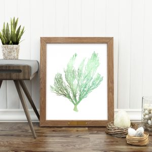 Green Watercolor Ocean Coral Printable