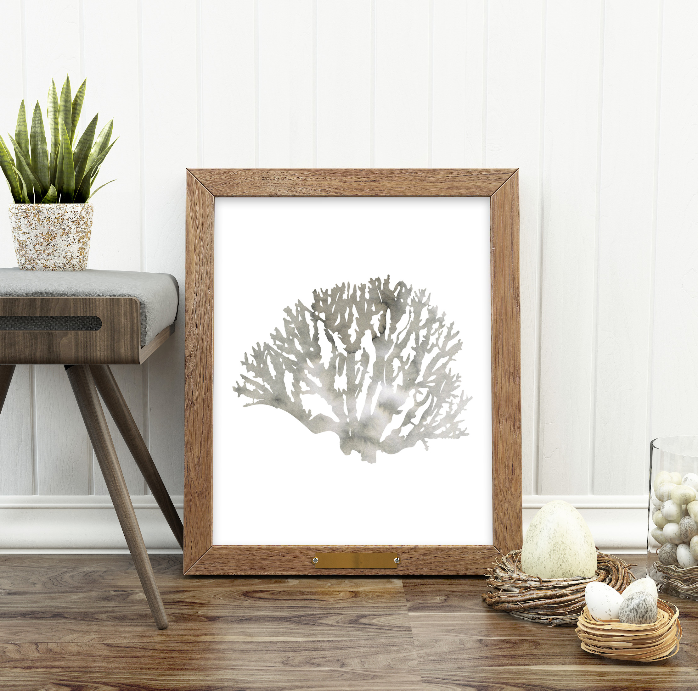 CoralGrey6