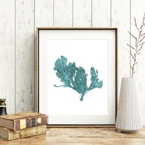 Coral Reef Teal Watercolor Printable