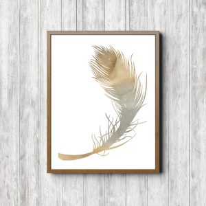 Watercolor Feather Boys Room Decor