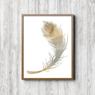 Watercolor Feather Boys Room Decor