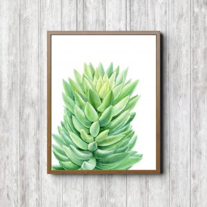 Green Succulent Minimalist Printable