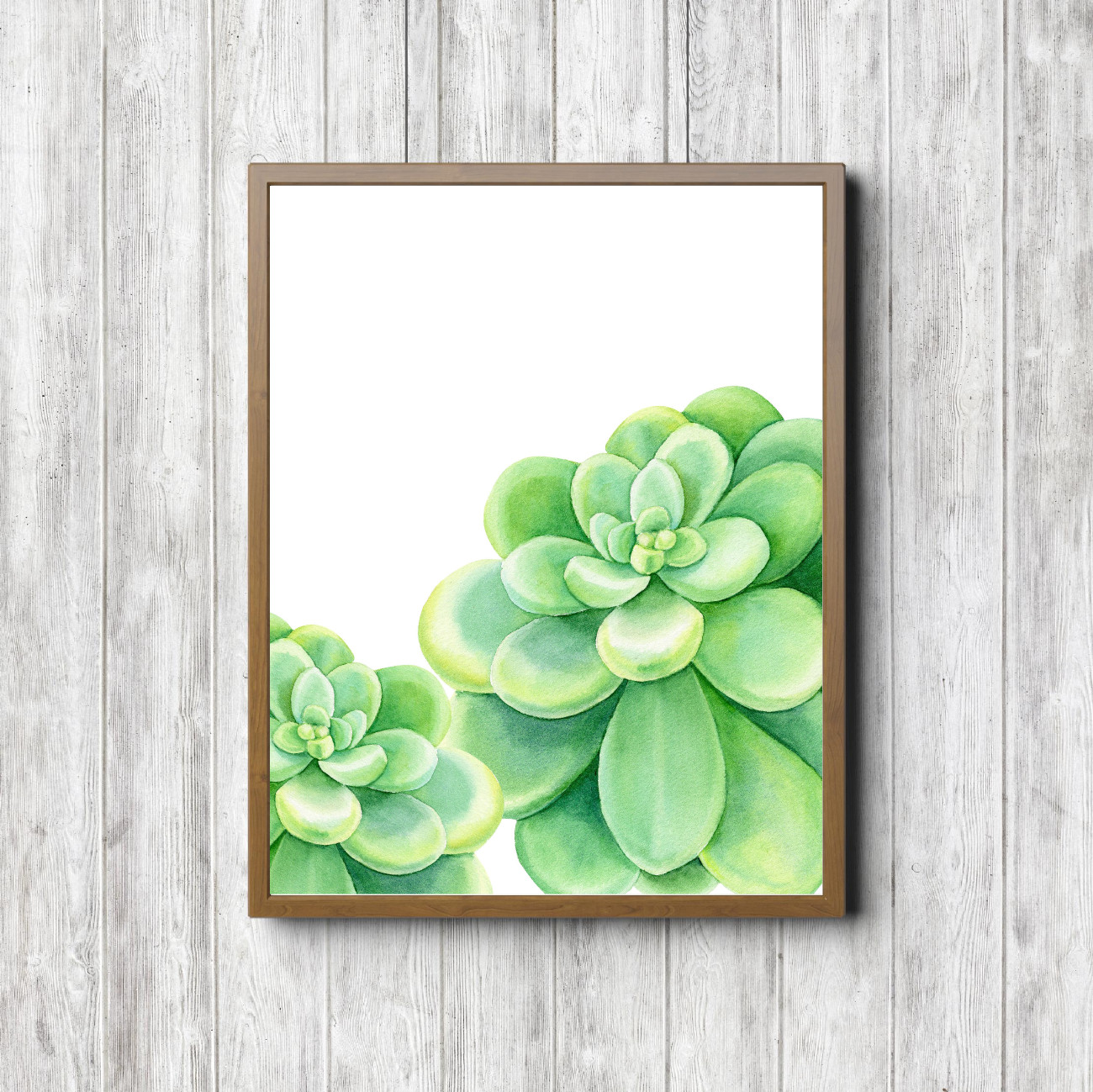 Green Succulent Horticulture Printable