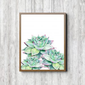 Green Succulents Printable Art