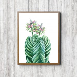 Green Tropical Succulents Printable