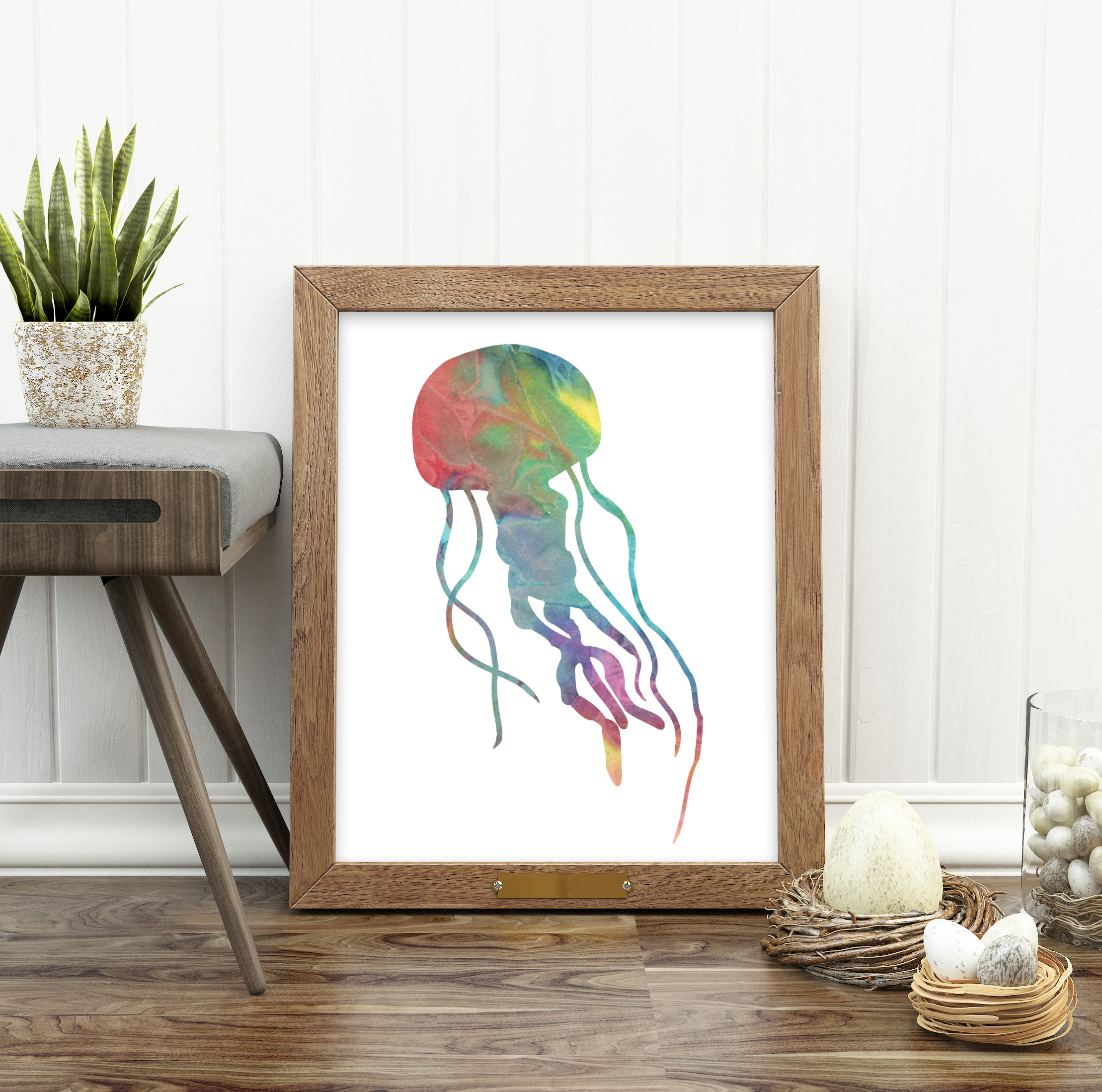 JellyfishMColor