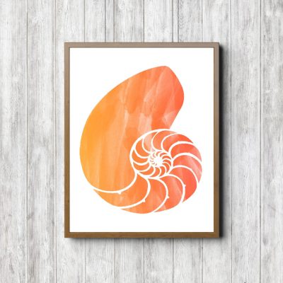 Orange Watercolor Nautilus Shell Printable