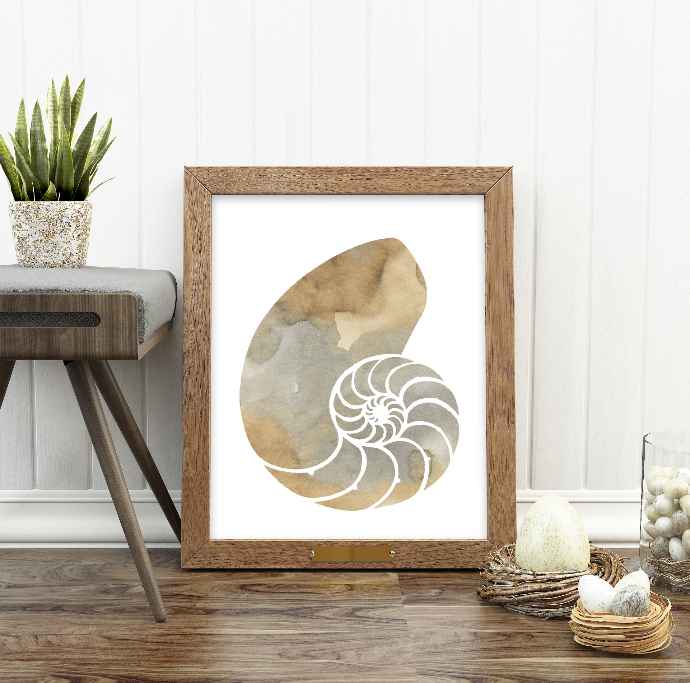 NautilusBeige