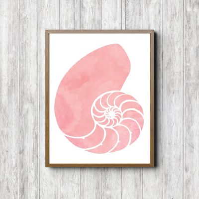 Blush Watercolor Nautilus Shell Printable