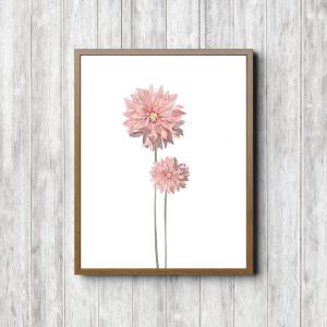 Pink Dahlia Flowers Watercolor Printable