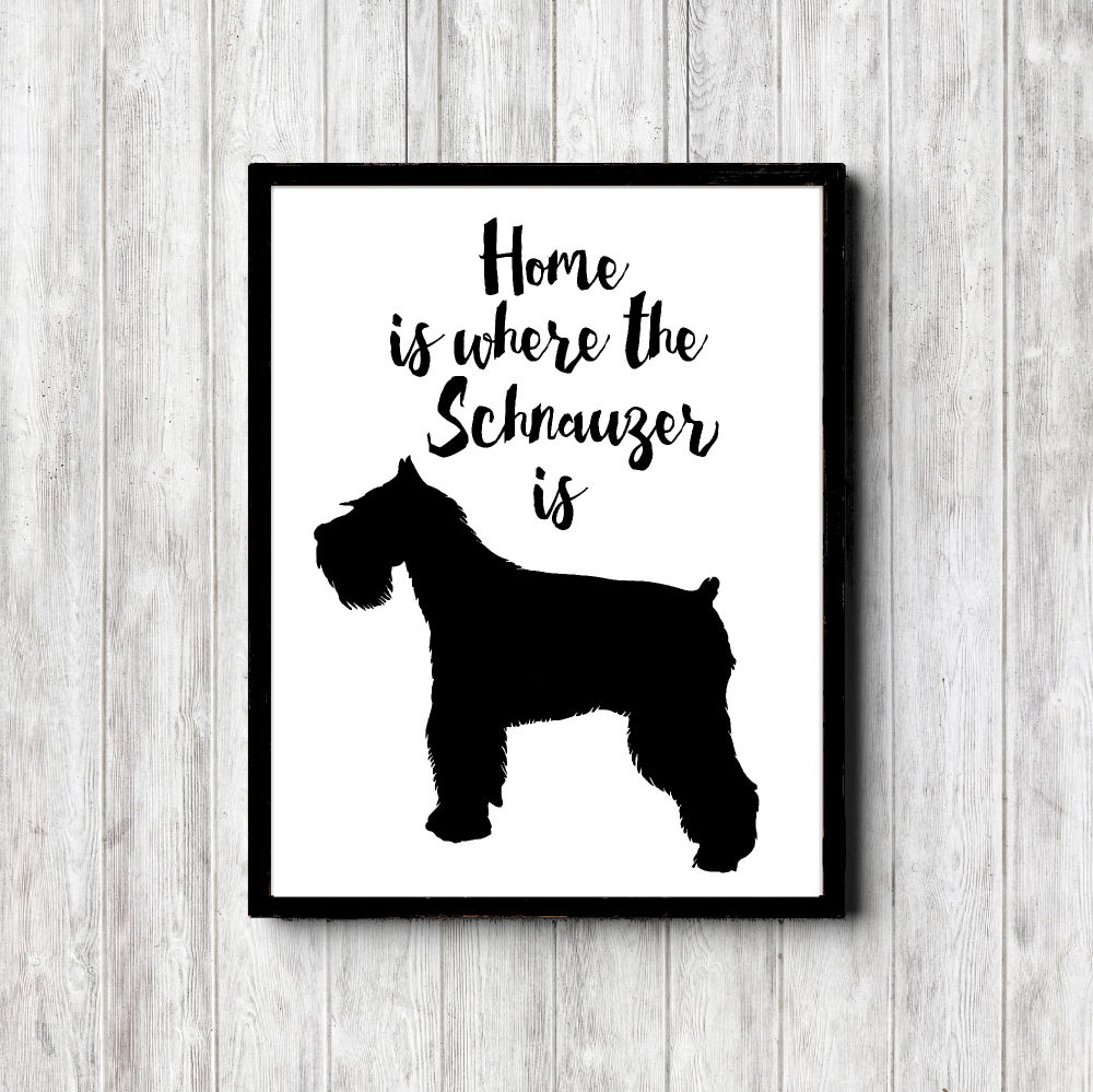 Schnauzer Home Printable Poster